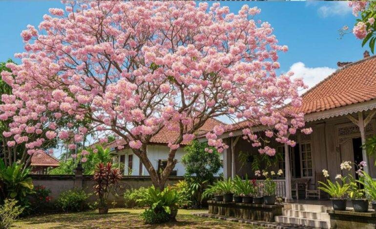 Jenis-jenis tanaman yang cocok untuk halaman rumah